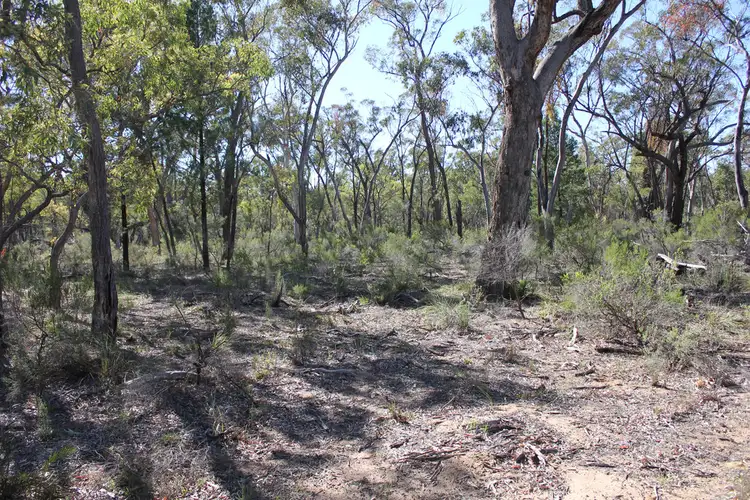 Seventh view of Homely rural property listing, 353 ALBERT WRIGHT ROAD, Rocky Glen NSW 2357