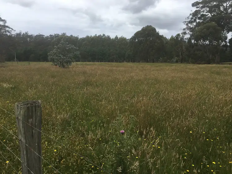 Fourth view of Homely land listing, 267 Medeas Cove Road, St Helens TAS 7216