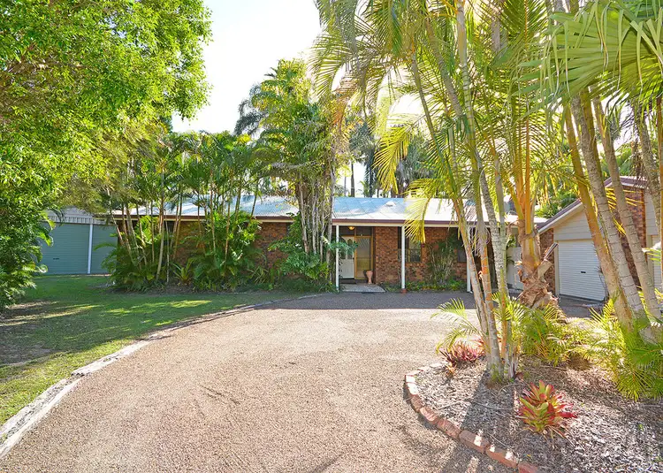 Main view of Homely house listing, 11 Birch Court, Kawungan QLD 4655