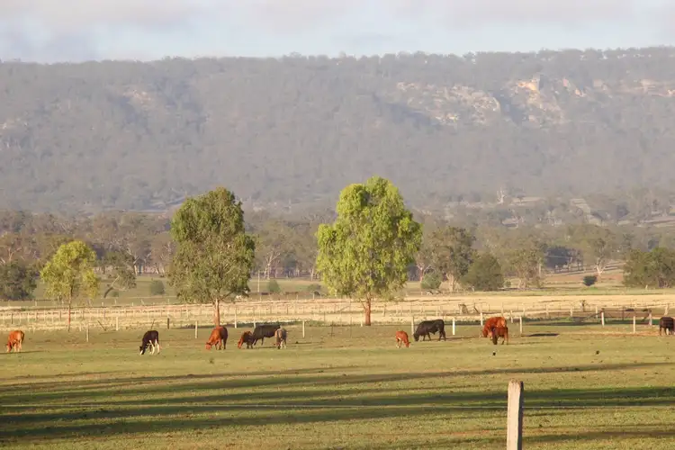 Seventh view of Homely rural property listing, . "Billaroy" Turanville Road, Scone NSW 2337