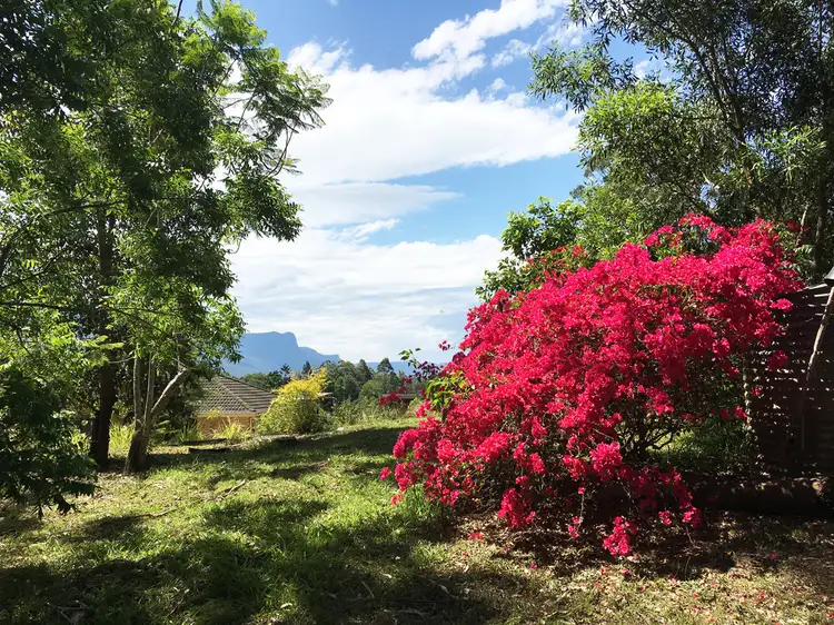 Second view of Homely house listing, 3/929 Blue Knob Rd, Nimbin NSW 2480