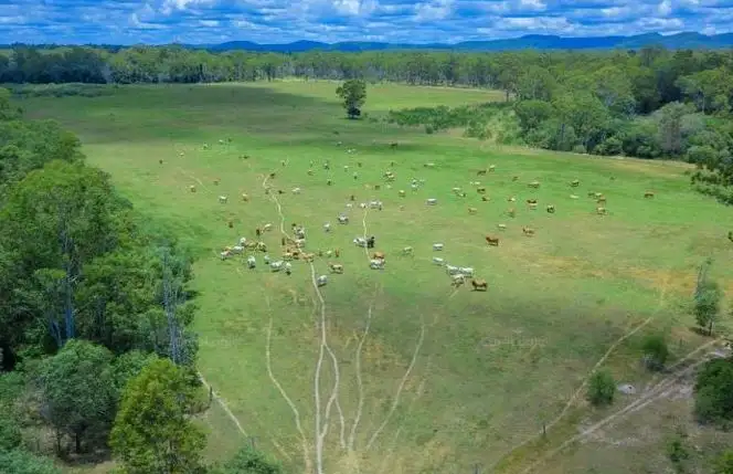 Main view of Homely house listing, 462 Petersens Road, Yandaran QLD 4673