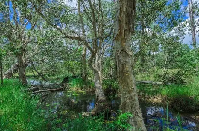 Third view of Homely house listing, 462 Petersens Road, Yandaran QLD 4673