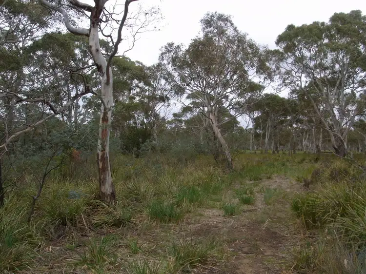 Third view of Homely land listing, Lot 1 Dolphin Sands Road, Dolphin Sands TAS 7190