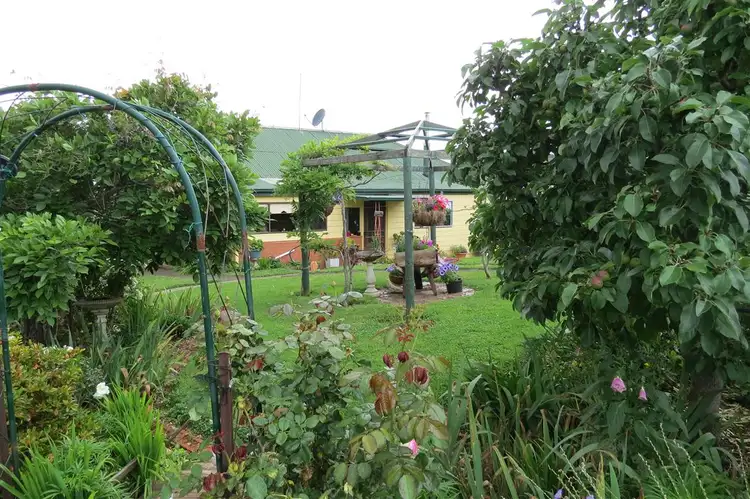 Main view of Homely rural property listing, 2836 Wilmot Road, Wilmot TAS 7310