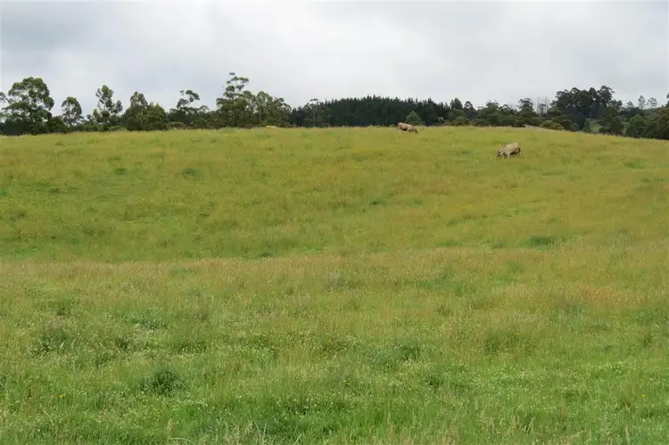 Fourth view of Homely rural property listing, 2836 Wilmot Road, Wilmot TAS 7310