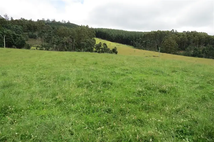 Fifth view of Homely rural property listing, 2836 Wilmot Road, Wilmot TAS 7310