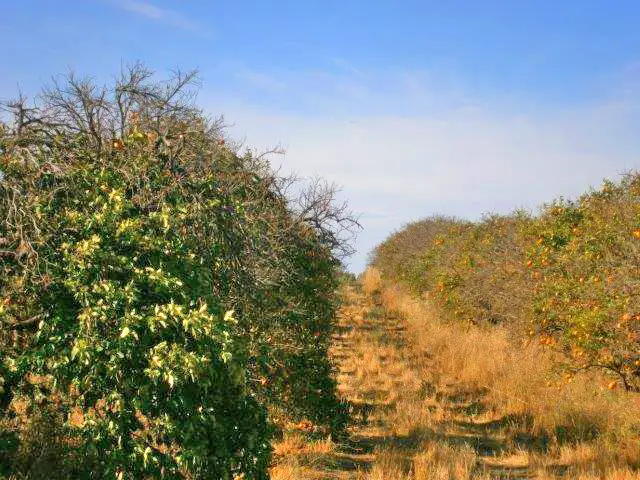 Lot 2 Thompson Road, Sunlands SA 5322