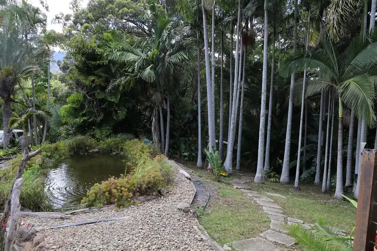 Third view of Homely rural property listing, 166 Nimbin Rd,, Nimbin NSW 2480