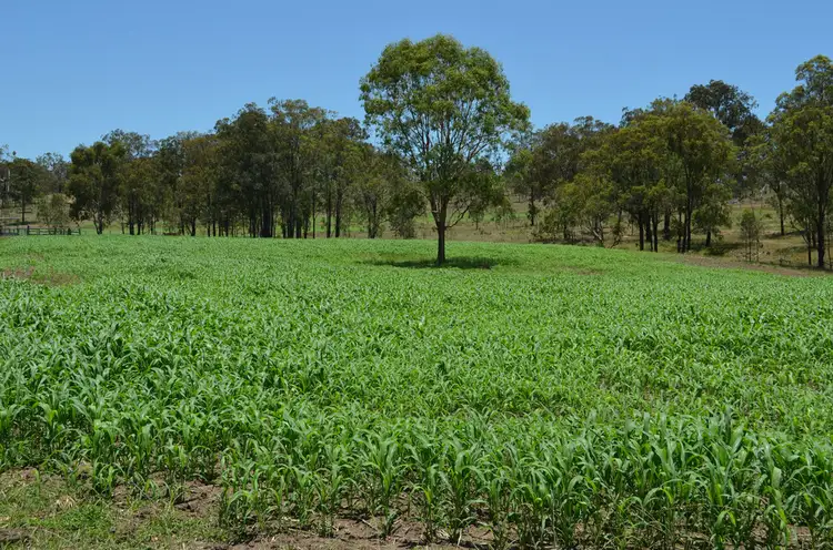 Third view of Homely land listing, Lot 1 New England Hwy, Coalbank QLD 4352