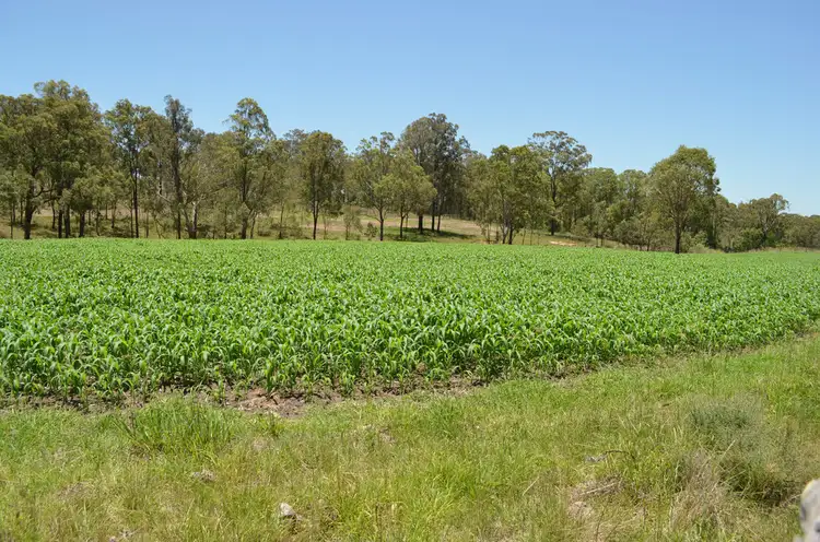 Fourth view of Homely land listing, Lot 1 New England Hwy, Coalbank QLD 4352