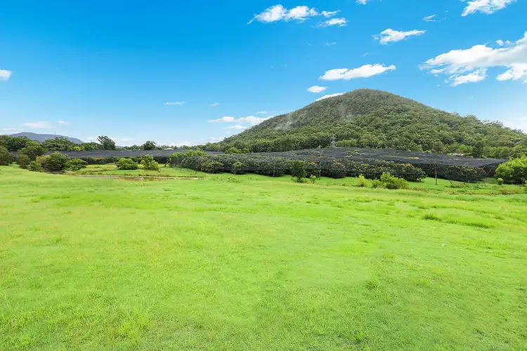 Lot 3 Lychee Parklands, Beerwah QLD 4519