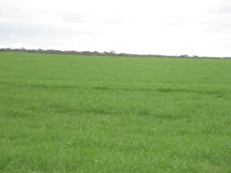 Fourth view of Homely rural property listing, Address available on request