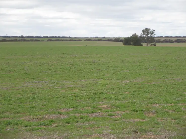 Fifth view of Homely rural property listing, Address available on request