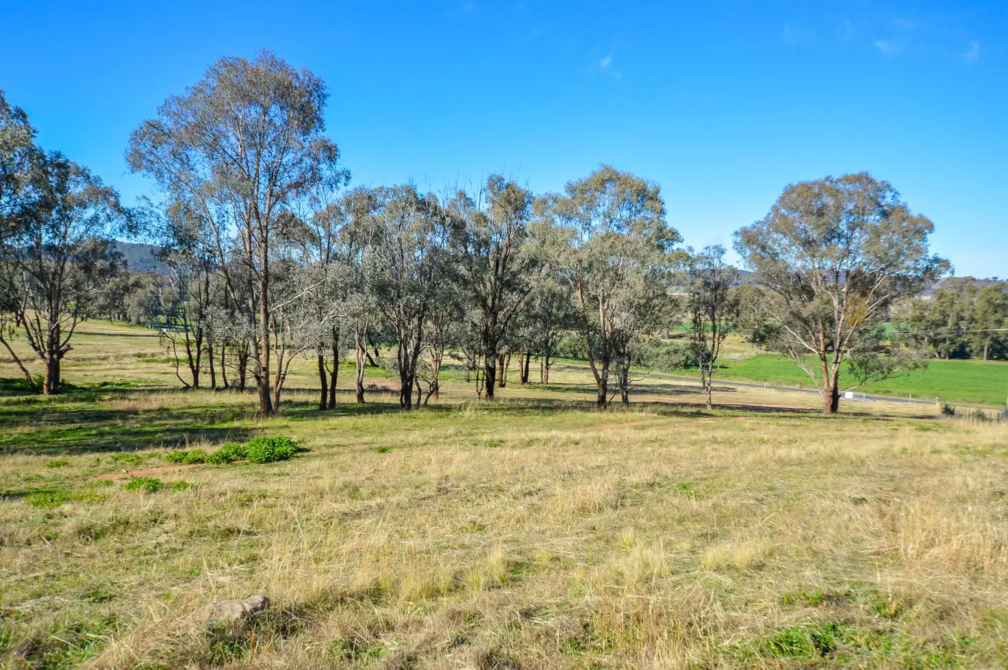 Main view of Homely rural property listing, 180 Lesters Lane, Mudgee NSW 2850