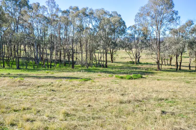 Second view of Homely rural property listing, 180 Lesters Lane, Mudgee NSW 2850