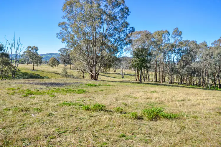 Fourth view of Homely rural property listing, 180 Lesters Lane, Mudgee NSW 2850