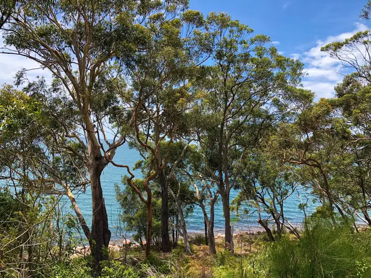 Fourth view of Homely house listing, 42 Randall Drive, Salamander Bay NSW 2317