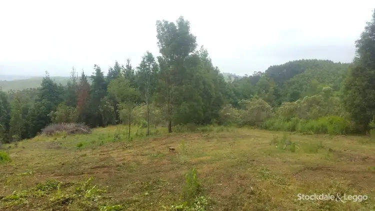 Fourth view of Homely rural property listing, 2488 Grand Ridge Road, Mirboo VIC 3871