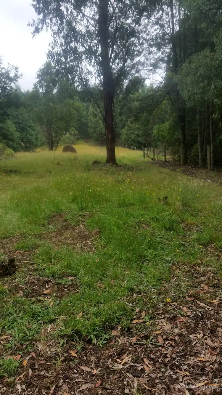 Fifth view of Homely rural property listing, 2488 Grand Ridge Road, Mirboo VIC 3871