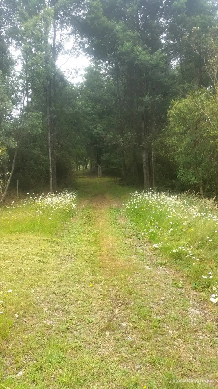 Sixth view of Homely rural property listing, 2488 Grand Ridge Road, Mirboo VIC 3871