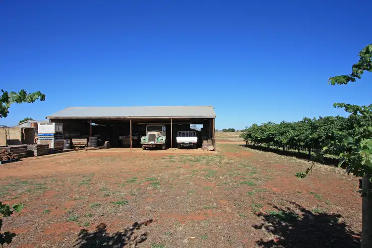 Seventh view of Homely rural property listing, Lot 4 Kingsbury Road, Loxton SA 5333