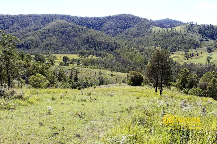 Second view of Homely rural property listing, 637 Bowman River Road, Gloucester NSW 2422