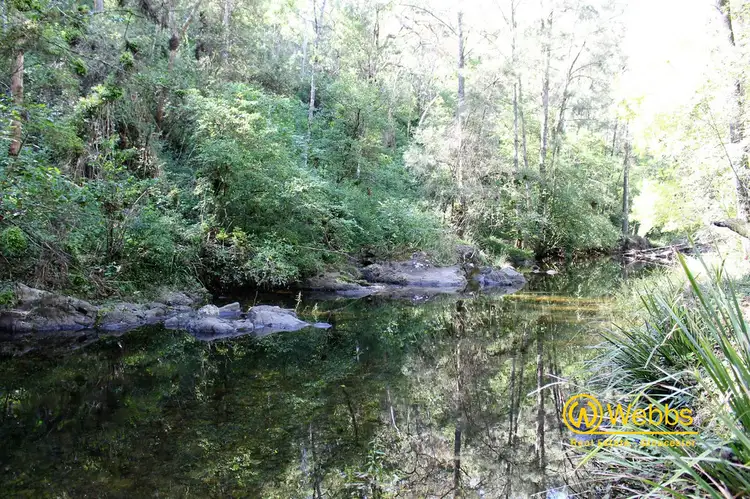 Third view of Homely rural property listing, 637 Bowman River Road, Gloucester NSW 2422