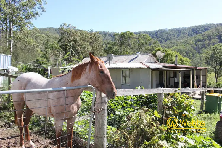 Sixth view of Homely rural property listing, 637 Bowman River Road, Gloucester NSW 2422