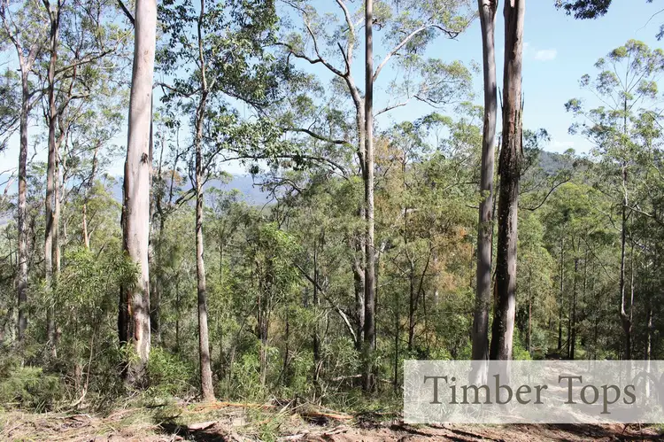 Main view of Homely rural property listing, Proposed Lot 106 Mud Hut Road, Gloucester NSW 2422