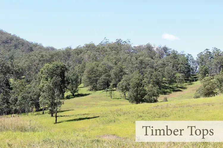 Second view of Homely rural property listing, Proposed Lot 106 Mud Hut Road, Gloucester NSW 2422