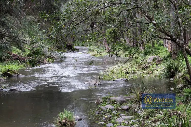 Second view of Homely rural property listing, 246 Bowman River Road, Gloucester NSW 2422