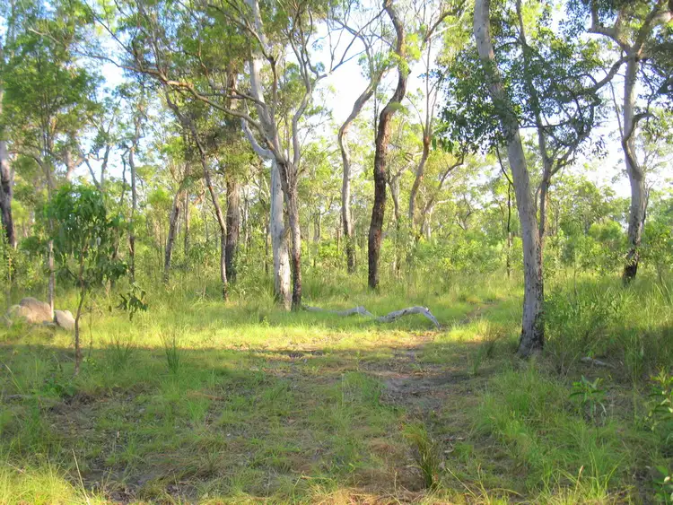 39 Baldaw Road, Captain Creek QLD 4677