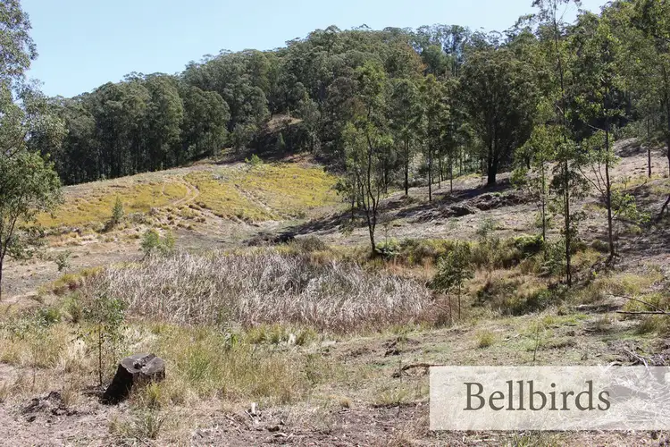 Third view of Homely rural property listing, Lot 103 Mud Hut Road, Gloucester NSW 2422