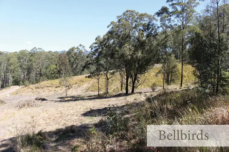 Fifth view of Homely rural property listing, Lot 103 Mud Hut Road, Gloucester NSW 2422