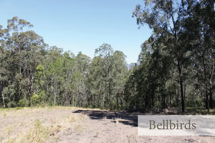 Sixth view of Homely rural property listing, Lot 103 Mud Hut Road, Gloucester NSW 2422