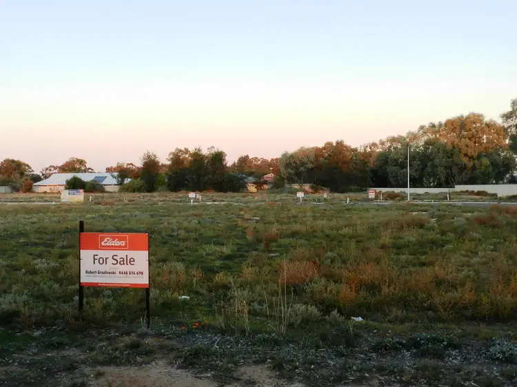 9B Queen Elizabeth Drive, Barmera SA 5345