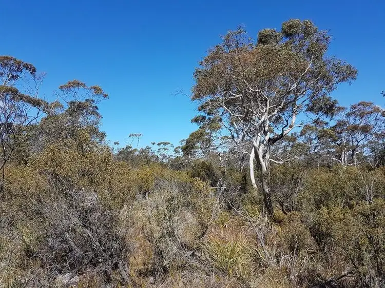Lot 67 Dolphin Sands Road, Dolphin Sands TAS 7190