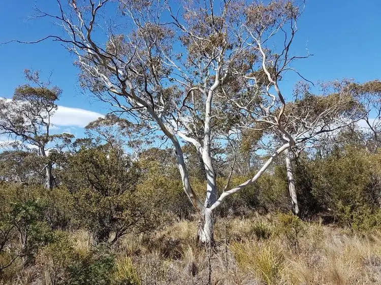Second view of Homely land listing, Lot 67 Dolphin Sands Road, Dolphin Sands TAS 7190