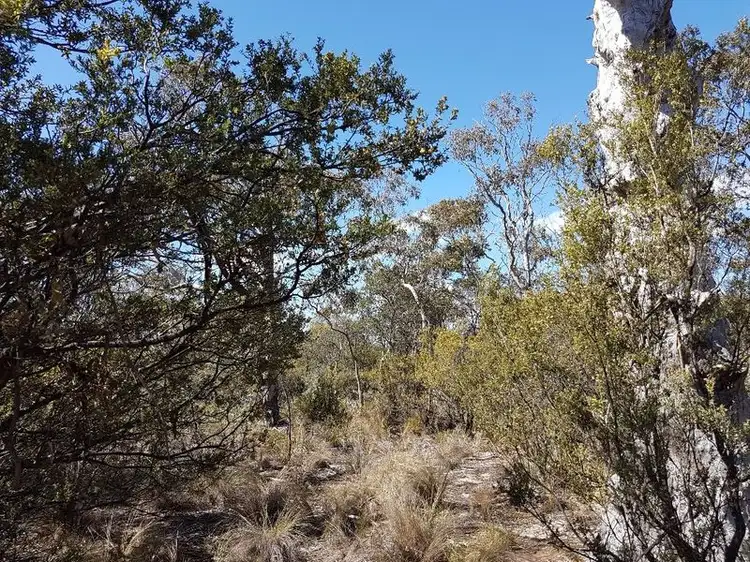 Third view of Homely land listing, Lot 67 Dolphin Sands Road, Dolphin Sands TAS 7190