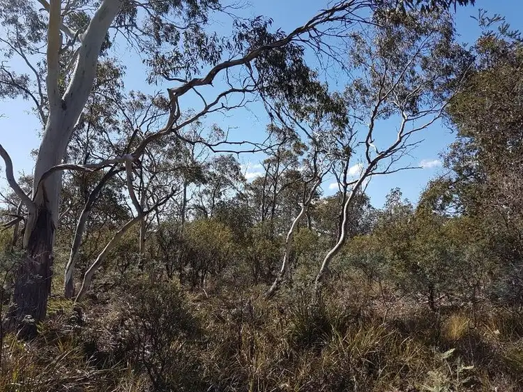 Fifth view of Homely land listing, Lot 67 Dolphin Sands Road, Dolphin Sands TAS 7190