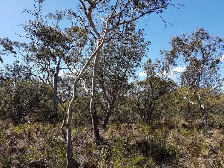 Sixth view of Homely land listing, Lot 67 Dolphin Sands Road, Dolphin Sands TAS 7190