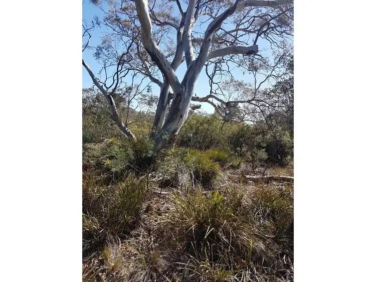 Seventh view of Homely land listing, Lot 67 Dolphin Sands Road, Dolphin Sands TAS 7190
