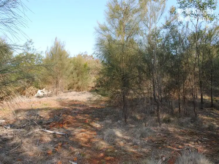 Fifth view of Homely land listing, 2 Wedge Street, Swansea TAS 7190