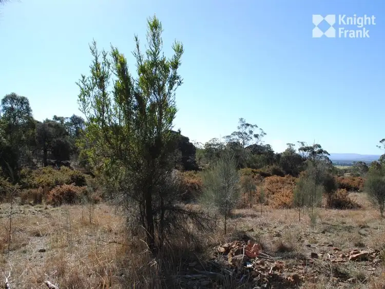Sixth view of Homely land listing, 2 Wedge Street, Swansea TAS 7190