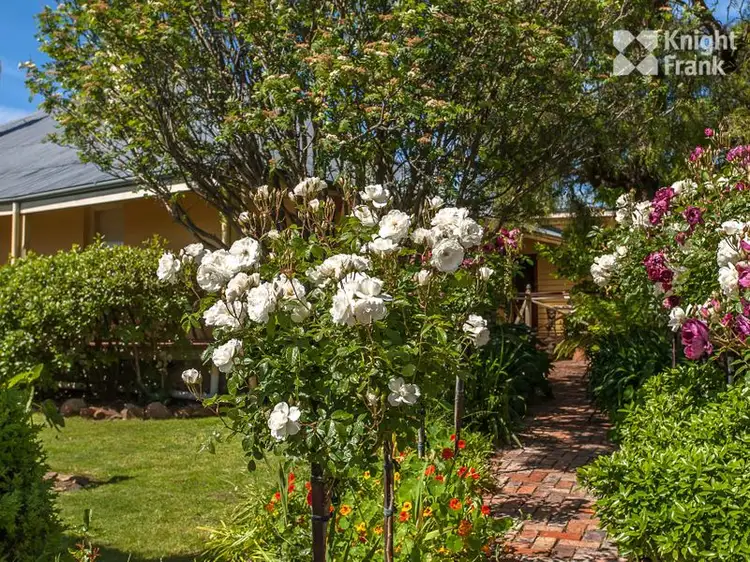 Fifth view of Homely house listing, 20 Franklin Street, Swansea TAS 7190