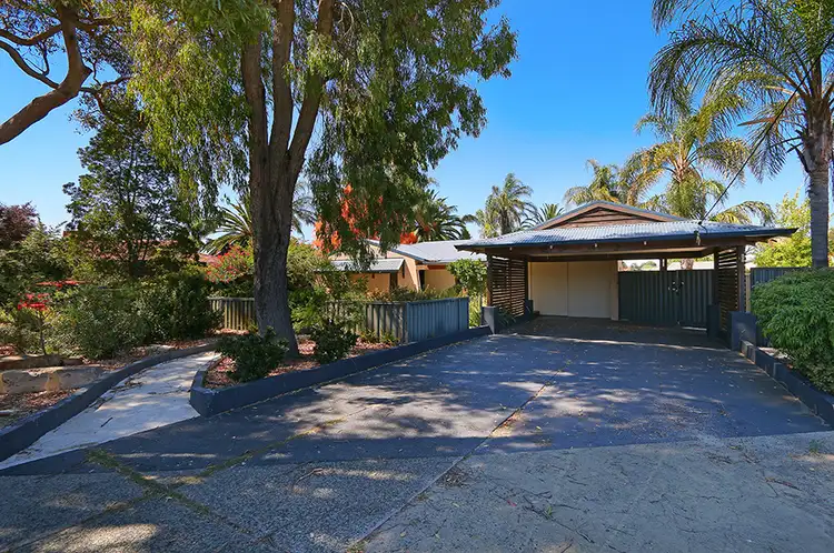 Third view of Homely house listing, 14 Celosia Way, Riverton WA 6148