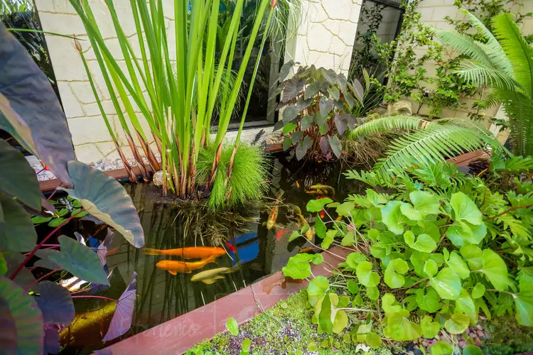 Second view of Homely house listing, 12 Longshore Place, Leschenault WA 6233