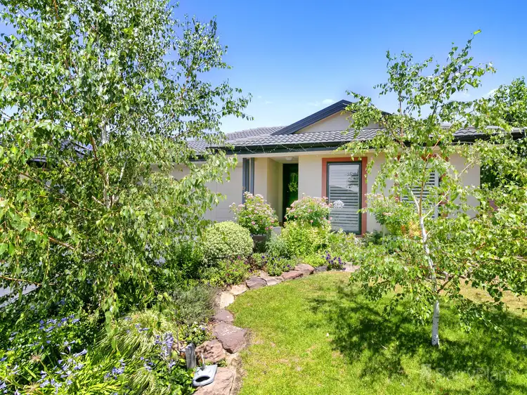 19 McPherson Drive, Croydon VIC 3136