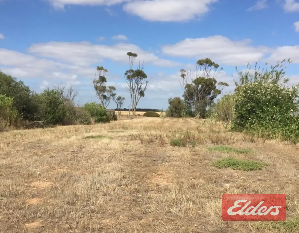 Main view of Homely land listing, 8 Cameron Terrace, Mallala SA 5502